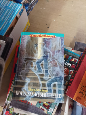 Dian Curtis Regan Koulussa kummittelee