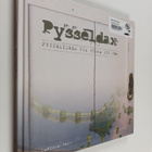 Daniela Salo : Pysseldax : pysselideer för stora och små - pikkukuva 1