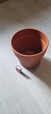 Kukkaruukku