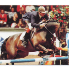 Hevosurheilu n:o 53 Nick Skelton  GBR - pikkukuva 1