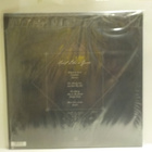 INSOMNIA - HEART LIKE A GRAVE  EU 2019 M-/M-2LP - pikkukuva 2