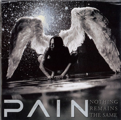 Pain - Nothing Remains The Same (CD) NEAR MINT!!