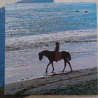 Carole King - Thoroughbred (LP 1975) - pikkukuva 5