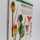 Roger Phillips ym. : Perennials, volume 2 : Late perennials - pikkukuva 1