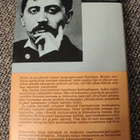 Proust Kadonnutta aikaa etsimässä Guermantesin tie 1 - pikkukuva 2