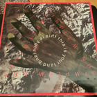 SIMPLE MINDS - This Is Your Land - pikkukuva 1