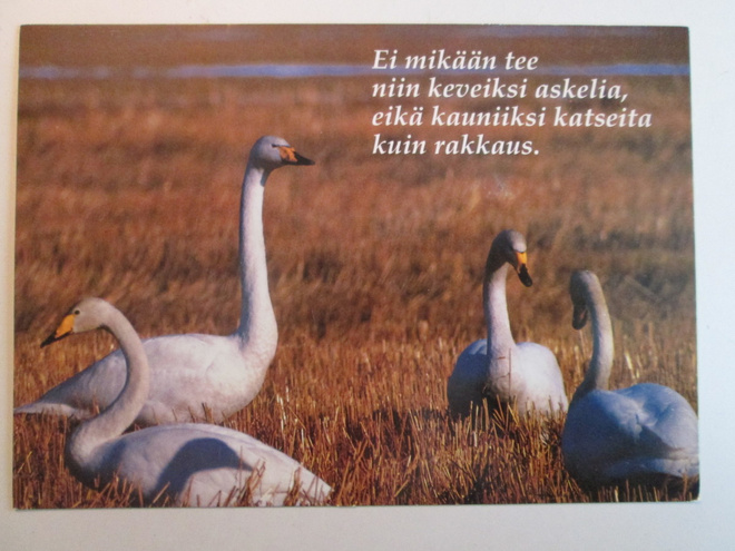 KULKEMATON JOUTSENET AULIKKI OJALA TUOMO PUUTIO