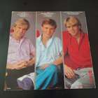 HERREY'S - DIGGI LOO, DIGGI LEY . LP - pikkukuva 2