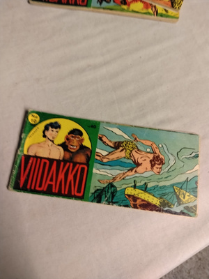 viidakko 10 vsk 10