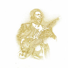 B.B. King • His Definitive Greatest Hits 2xCD - pikkukuva 2