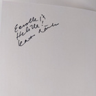 Kati Närhi : Saniaislehdon salaisuudet (signeerattu) - pikkukuva 3
