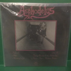 ASPHODELUS - DYING BEAUTY & THE SILENT SKY M-/M-  12" - pikkukuva 2