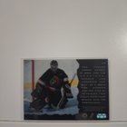 1996-97 Upper Deck Ice - Acetate #45 Damian Rhodes - pikkukuva 2
