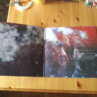 Maybeshewill – Fair Youth lp orig 2014 Post Rock - pikkukuva 2