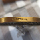 Valtion Rautatiet 1862-1962 mitali / Aimo Tukiainen 1962. - pikkukuva 4
