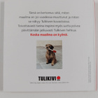 Kivi, jolla on sielu : 30 vuotta Tulikiven mielikuvia - pikkukuva 2