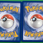 Pokémon Pineco - pikkukuva 2