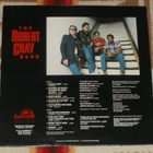 THE ROBERT CRAY BAND ~ False Accusations ~ LP - pikkukuva 2