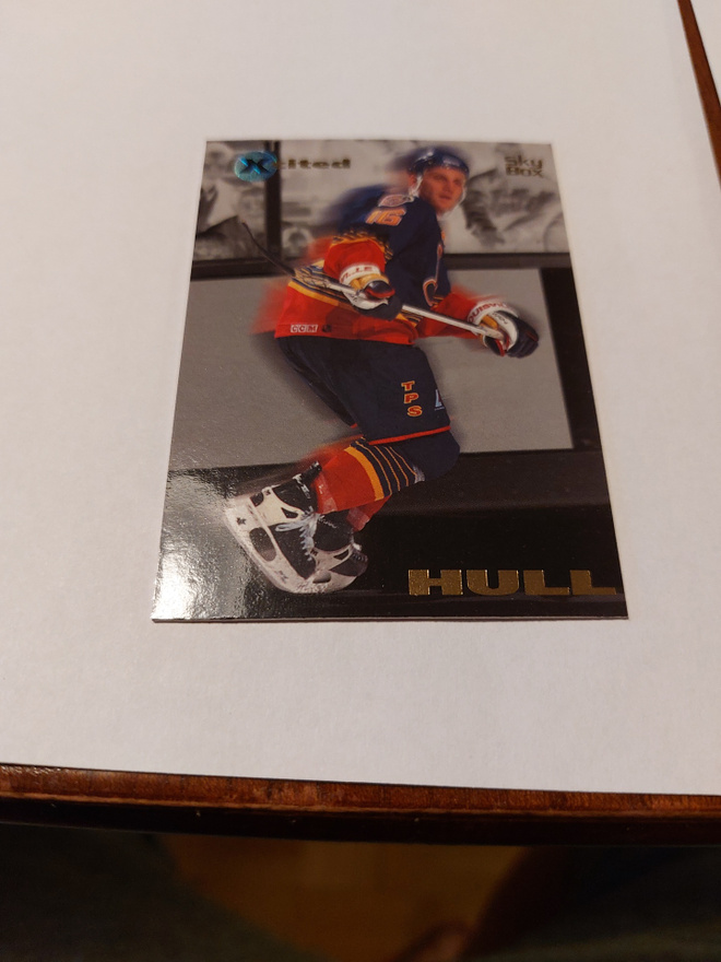 1995-96 Emotion Xcited #8 Brett Hull