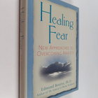 Edmund Bourne : Healing fear : new approaches to overcomi... - pikkukuva 1