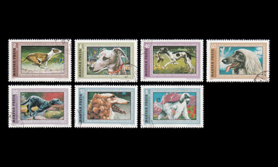 Unkari 2742-8 o Vinttikoirat (1972)