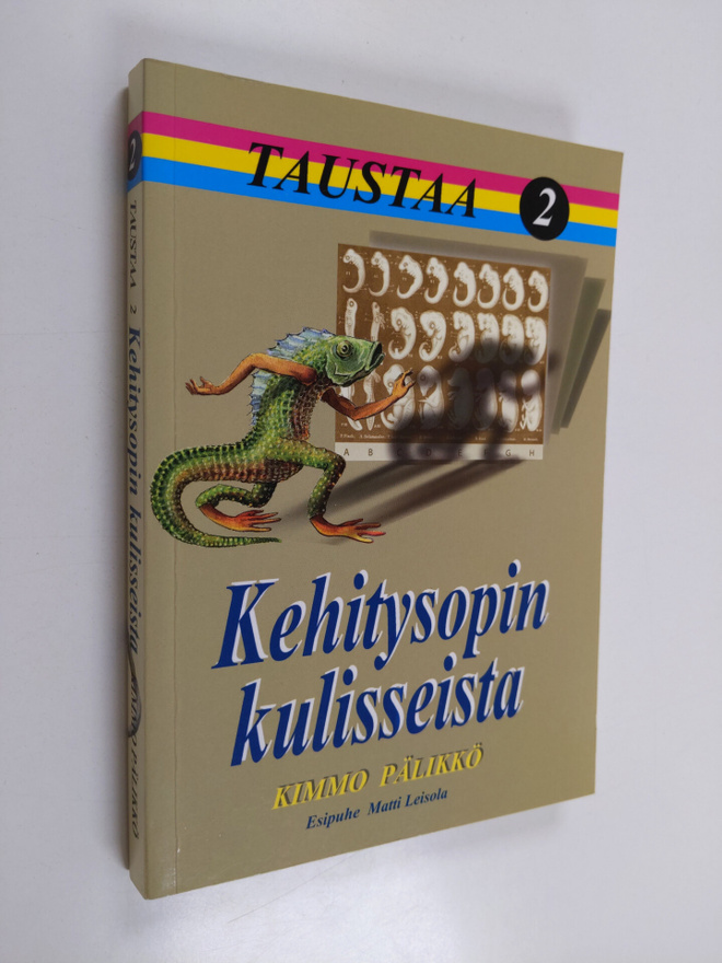 Kimmo Pälikkö : Taustaa 2 : Kehitysopin kulisseista