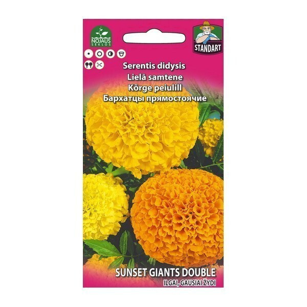 Isosamettikukka "Sunset Giants Double" sekoitus - siemenet #