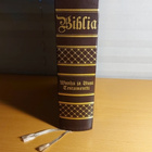 Biblia 1886. Numeroitu - pikkukuva 2