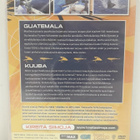 Perho vs. Viehe - Kuuba & Guatemala (muoveissa, dvd) - pikkukuva 3
