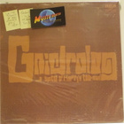 GNIDROLOG - ... IN SPITE OF HARRYS TOE - NAIL EX-/EX- LP - pikkukuva 1