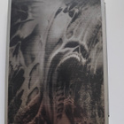Doom 3 Limited Collector's Edition (Xbox) - pikkukuva 2