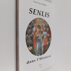 Jean-Paul Besse : Senlis dans l'histoire - pikkukuva 1