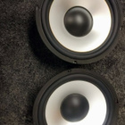 Bassokaiuttimet 10" - pikkukuva 2
