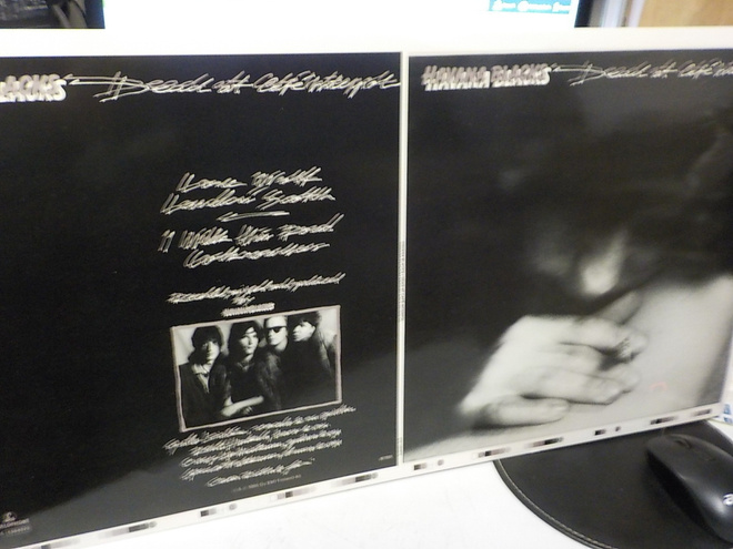 HAVANA BLACKS - DEAD AT CAFE INTERPOL KANSIEN KOEVEDOS