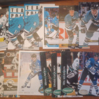 San jose Sharks 19kpl - pikkukuva 1