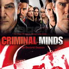 CRIMINAL MINDS SEASON 2 (14 336) -FI- DVD (6) 6 dvd = 16h - pikkukuva 1