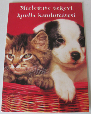 Kissa ja koira, kulkematon