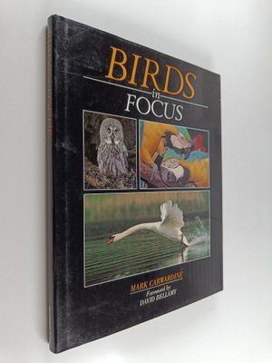 Mark Carwardine : Birds in Focus