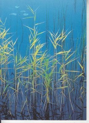 Hannu Hautala  luontoaiheinen kortti käyttämättömänä.9