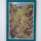 Christos Ch Georgiades : Nature of Cyprus : Environment, ... - pikkukuva 2