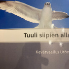 TUULI SIIPIEN ALLA - KEVÄTVAELLUS UTÖSSÄ - pikkukuva 1