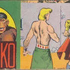 VIIDAKKO liuskalehdet 23/56 + 24/56 + 25/56 AKIM & GORILLA - pikkukuva 2