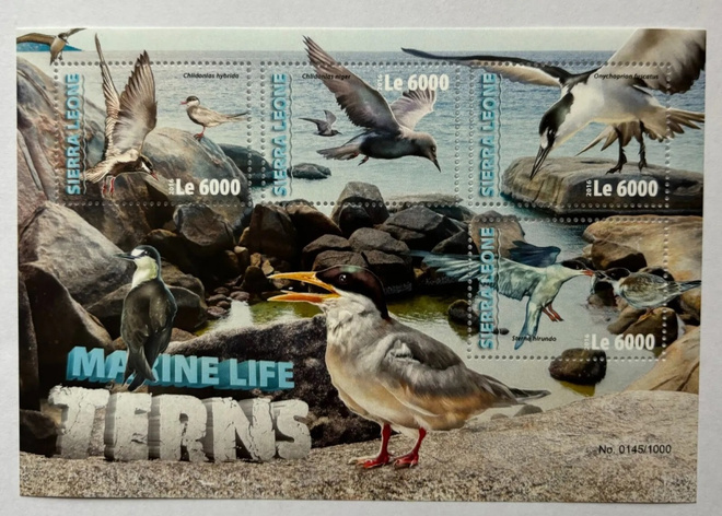 LINNUT tiirat eläinaiheinen blokki SIERRA LEONE 2016 **