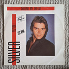 Silver Pozzoli - Around My Dream - pikkukuva 1