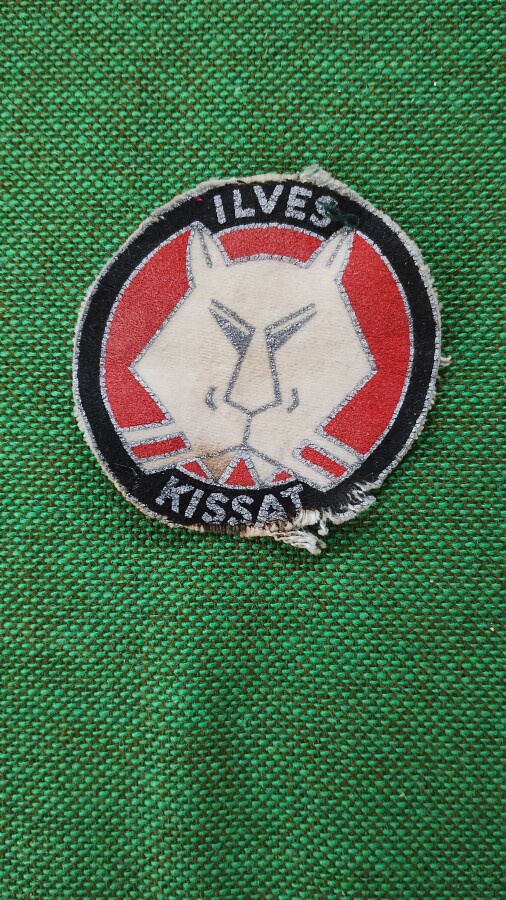 Ilves kissat HIHAMERKKI 1960-luku