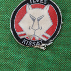 Ilves kissat HIHAMERKKI 1960-luku - pikkukuva 1