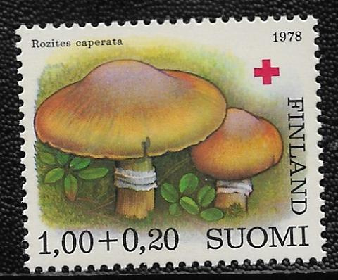 Punainen risti 1,00+0,20mk 1978 (LAPE 831) **