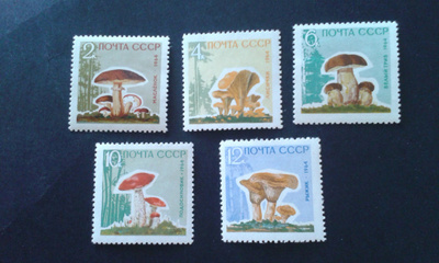 cccp 1964 sieniä**