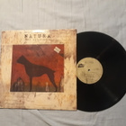 Jouni Koskimäki – Natura (Nihil Agit Frustra) lp 1989 Jazz - pikkukuva 1
