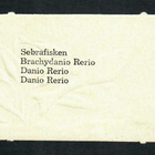 ALE - EO 5806 - Nelkku - Kauniit kalat 7 - Agathon!!! - pikkukuva 2